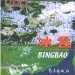 洛宁县好玩的地方